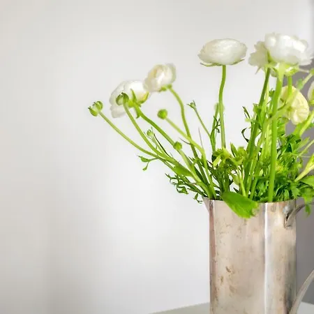 Palazzo Ventimiglia & * 巴勒莫